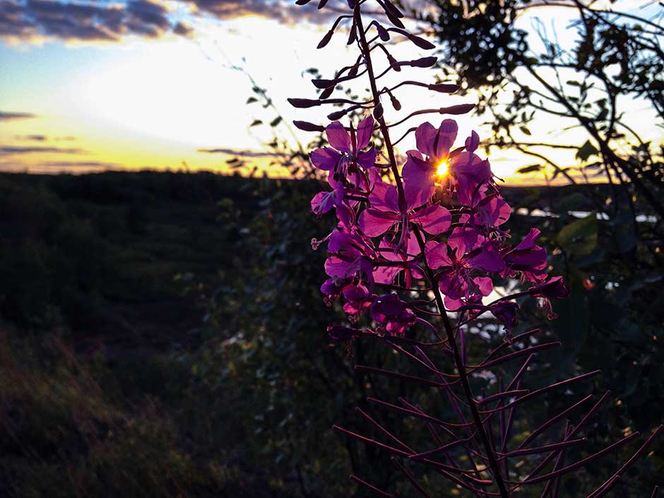 Visit the North - so beautiful, you might not leave